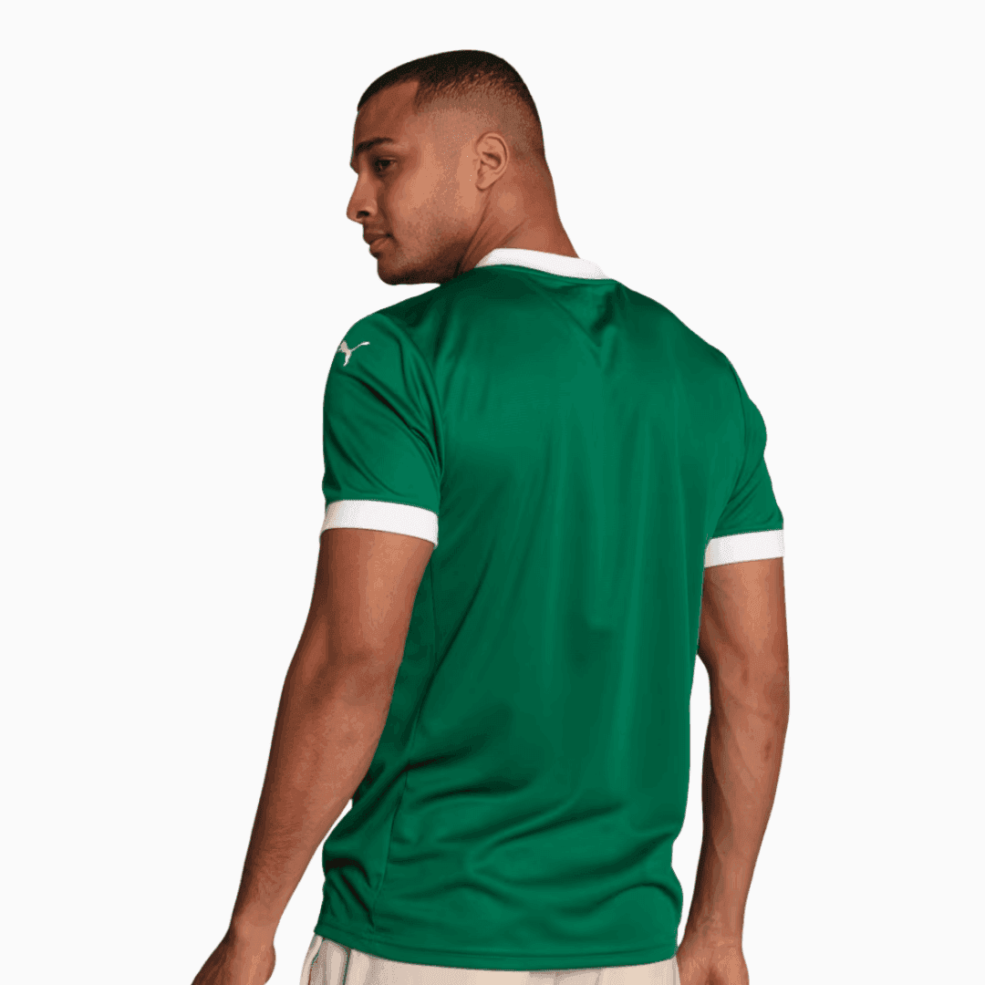 Camisa Palmeiras 2025/26 I - R. Veiga N° 23