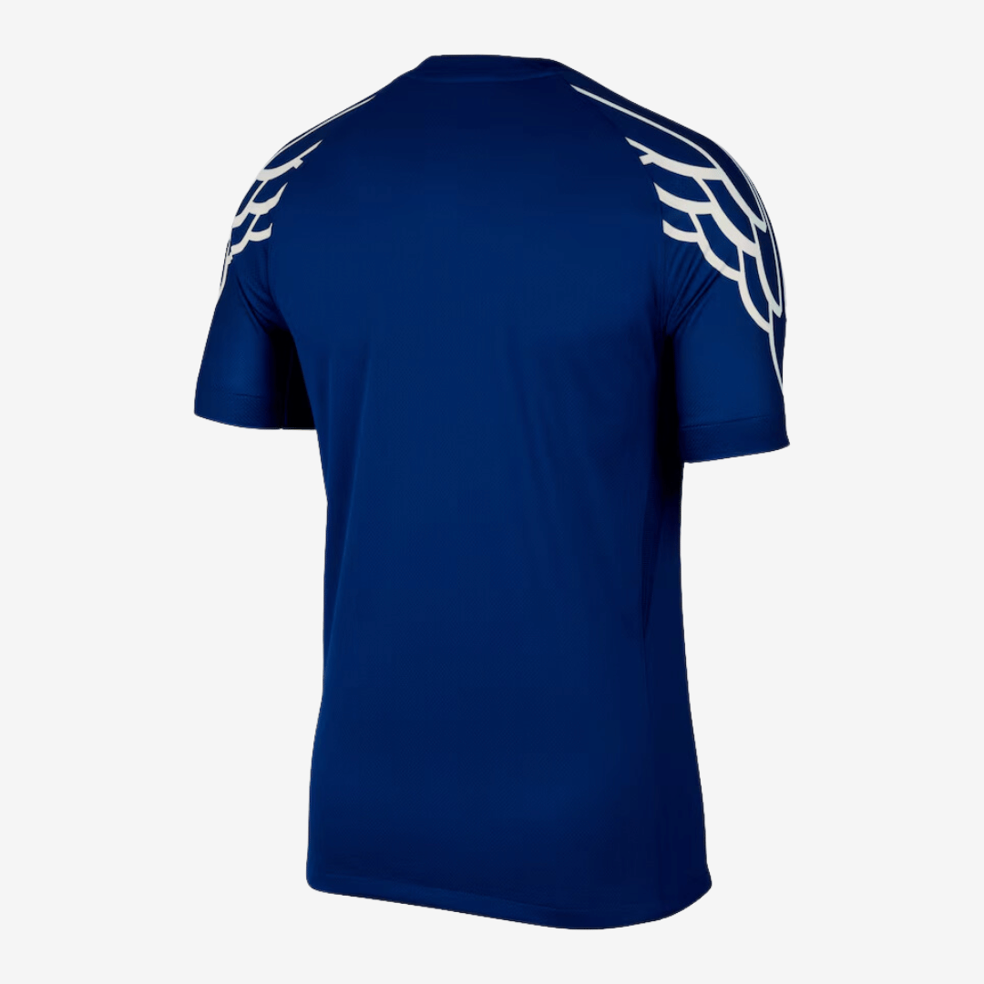 Camisa Jordan Paris Saint Germain 2024/25 IV Torcedor