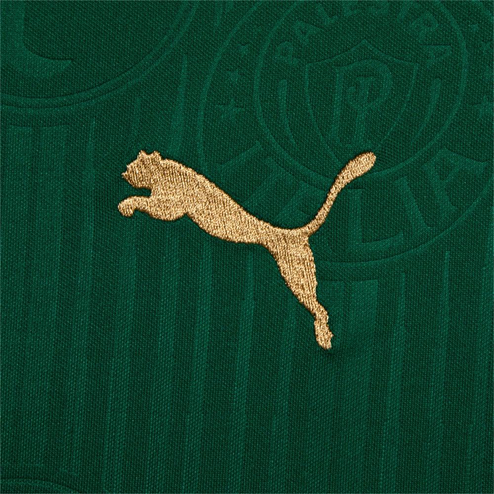 Camisa Palmeiras 2024/25 I