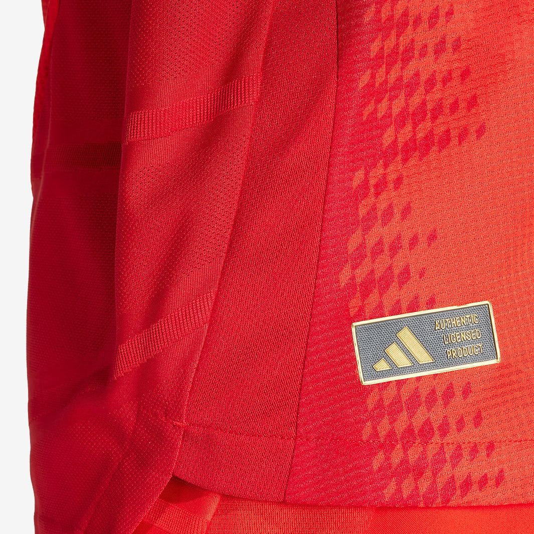Camisa Bayern de Munique 2024/25 I Jogador